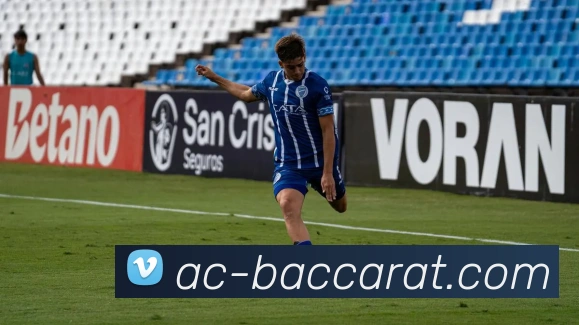 百家乐官网平台生态图